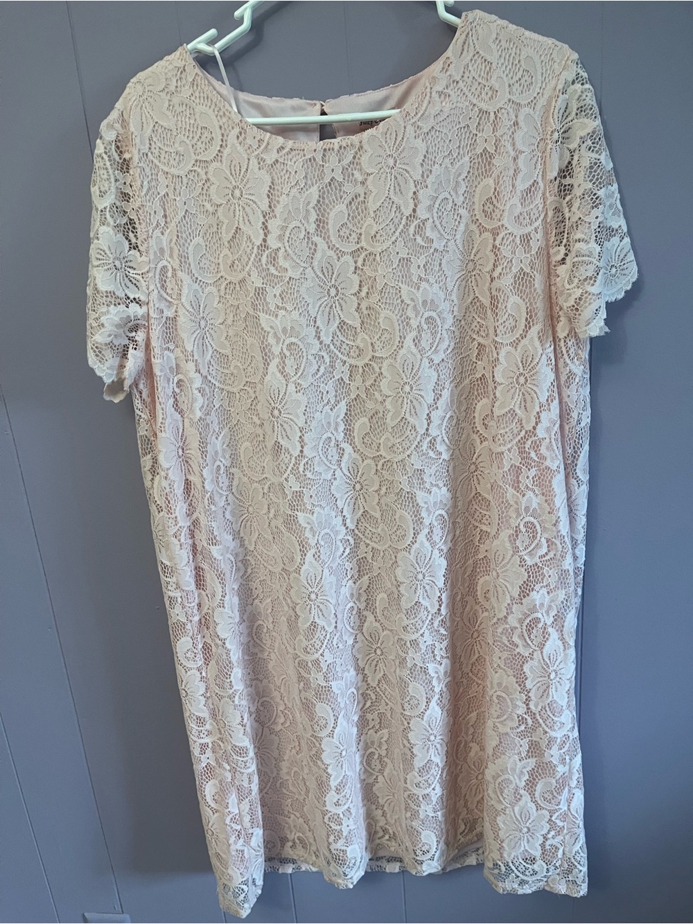 Juicy Couture Pale Pink Lace Dress